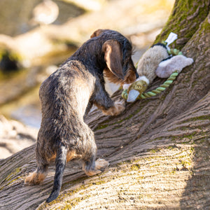 Wurfspielzeug für Hunde     - von Hunter kaufen bei leopolds-finest