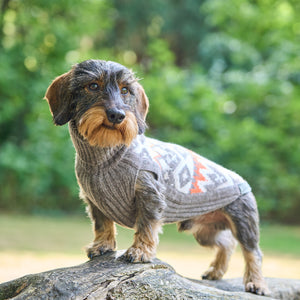 Hundepullover Jacquard Dackel Malteser Zwergpudel Leopold's     - von Leopold´s kaufen bei leopolds-finest