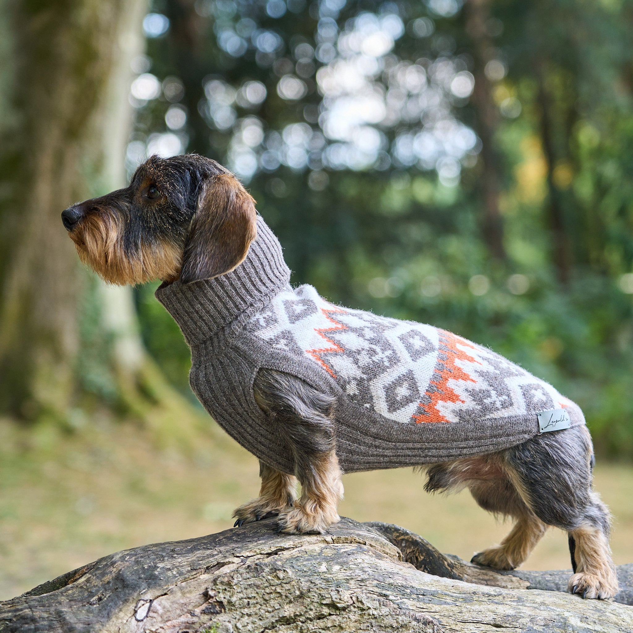 Hundepullover Jacquard Dackel Malteser Zwergpudel Leopold's     - von Leopold´s kaufen bei leopolds-finest