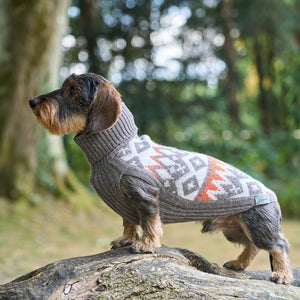 Hundepullover Jacquard Dackel Malteser Zwergpudel Leopold's     - von Leopold´s kaufen bei leopolds-finest