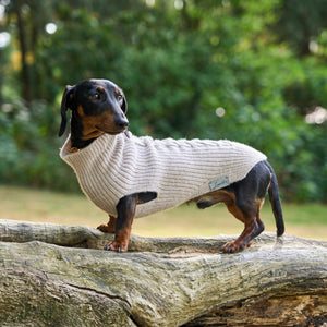 Hundepullover für Dackel Malteser & Zwergpudel     - von Leopold´s kaufen bei leopolds-finest
