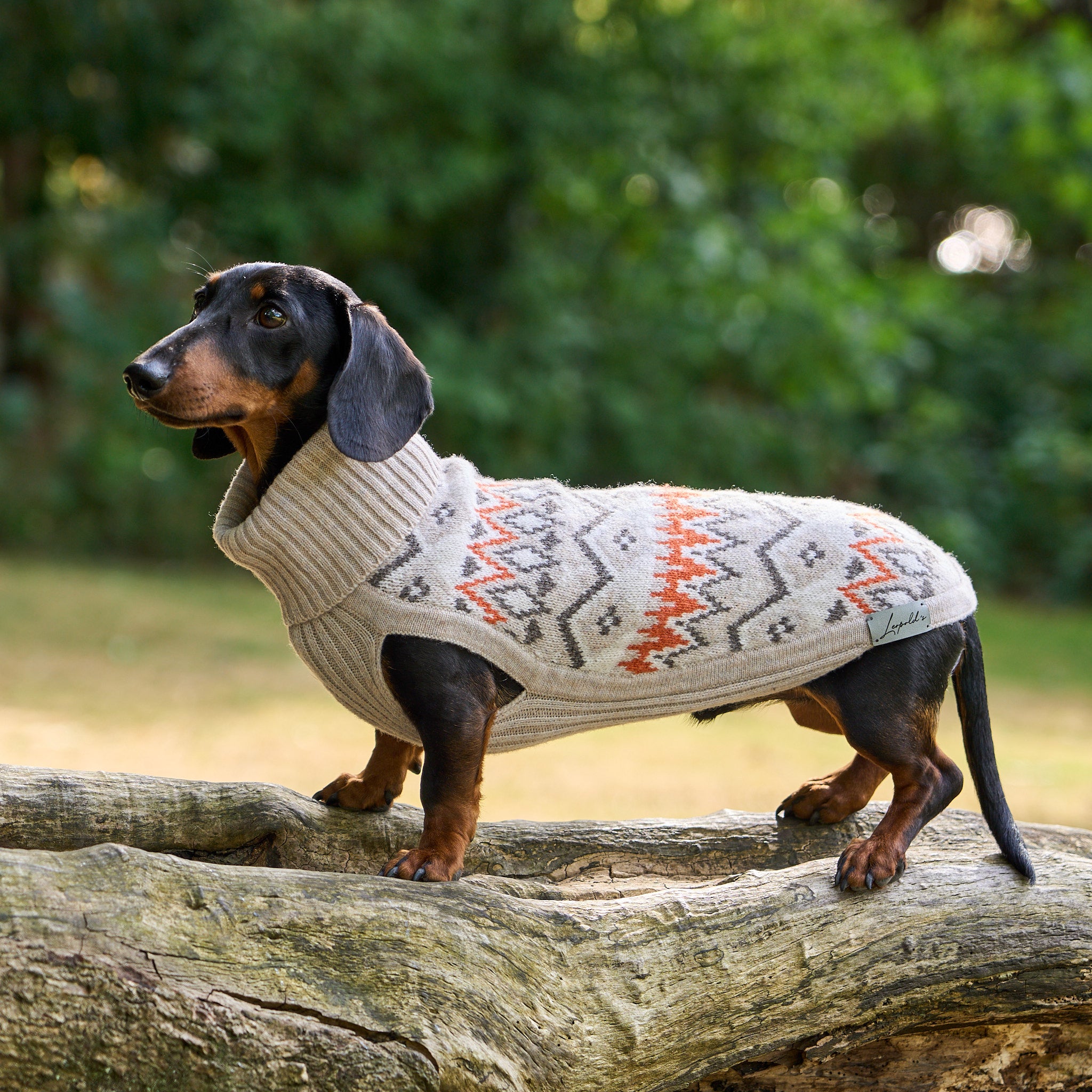 Hundepullover Jacquard Dackel Malteser Zwergpudel Leopold's     - von Leopold´s kaufen bei leopolds-finest