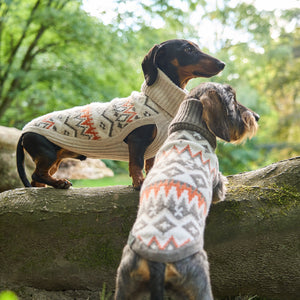 Hundepullover Jacquard Dackel Malteser Zwergpudel Leopold's     - von Leopold´s kaufen bei leopolds-finest