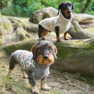 Hundepullover Jacquard Dackel Malteser Zwergpudel Leopold's     - von Leopold´s kaufen bei leopolds-finest