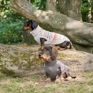 Hundepullover Jacquard Dackel Malteser Zwergpudel Leopold's     - von Leopold´s kaufen bei leopolds-finest
