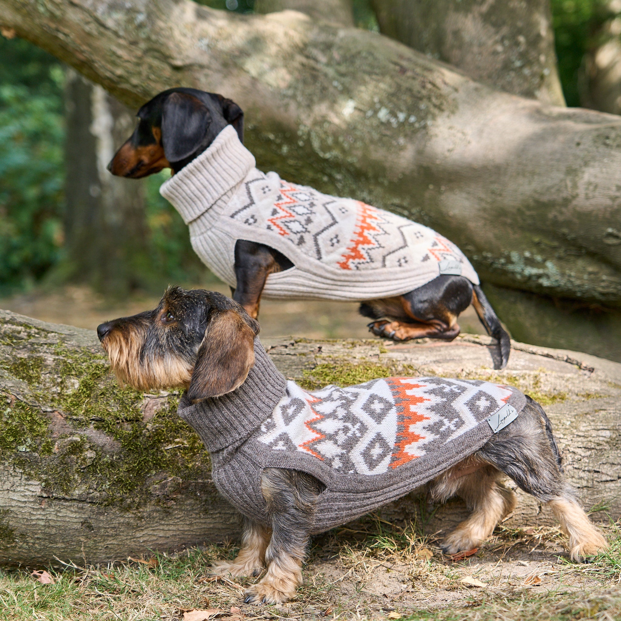 Hundepullover Jacquard Dackel Malteser Zwergpudel Leopold's     - von Leopold´s kaufen bei leopolds-finest