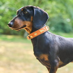 Hundehalsband Dackel     - von Leopold's kaufen bei leopolds-finest