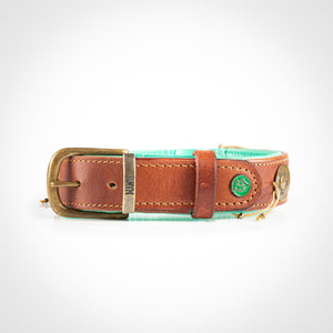 Hundehalsband Dackel Handarbeit     - von DWAM kaufen bei leopolds-finest