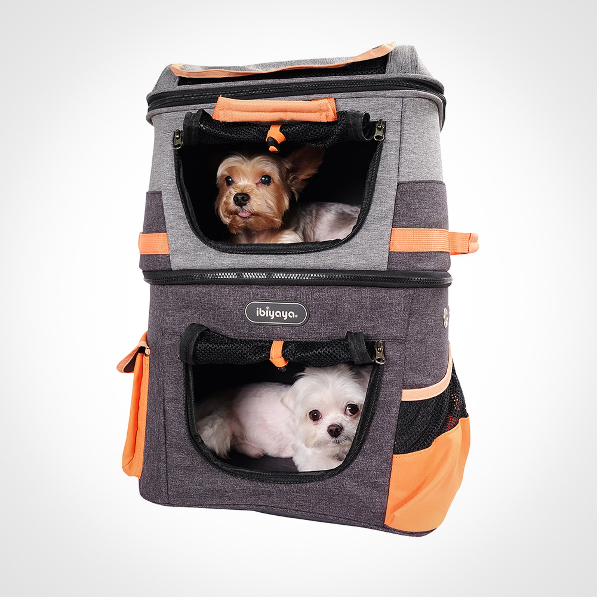 Hunderucksack für ein und zwei kleine Hunde     - von Ibiyaya kaufen bei leopolds-finest