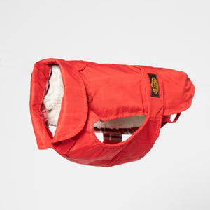 Hunde Regenmantel für kleine Hunde     - von Fashion Dog kaufen bei leopolds-finest