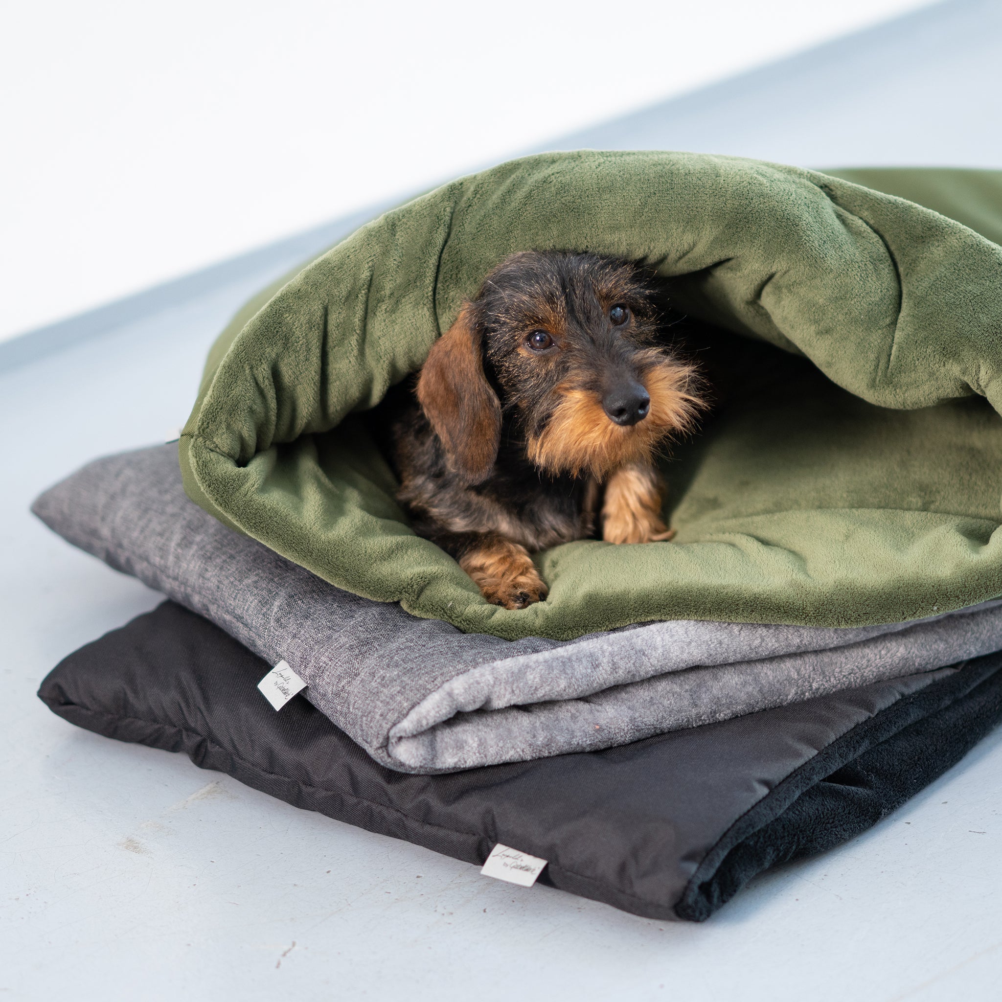 Kuschelsack für kleine Hunde     - von Leopold's by Gabelwerk kaufen bei leopolds-finest