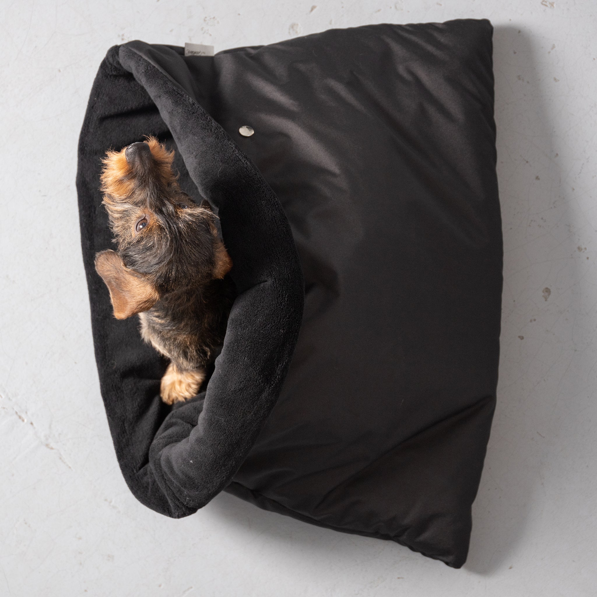 Kuschelsack für kleine Hunde     - von Leopold's by Gabelwerk kaufen bei leopolds-finest