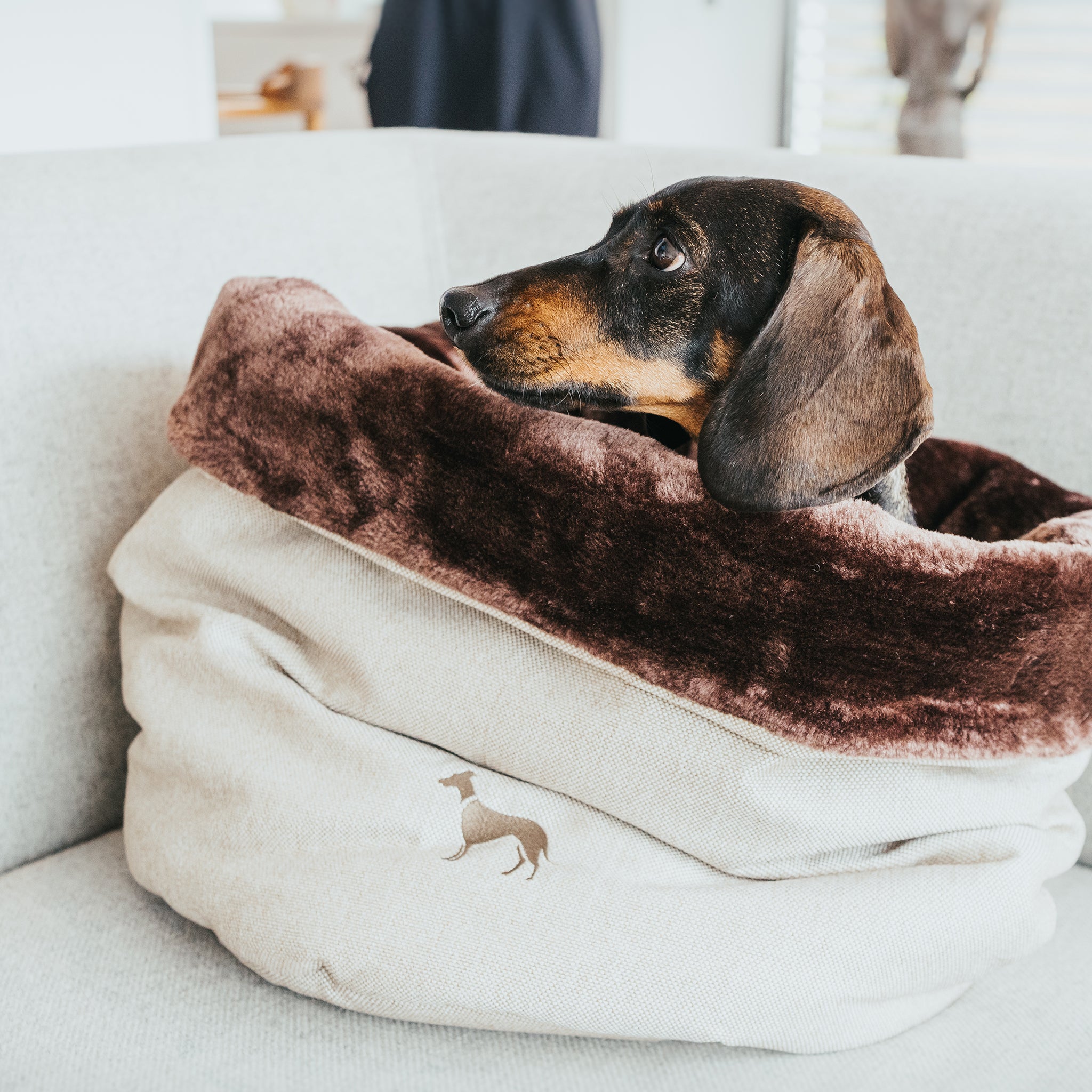 Kuschelsack kleine Hunde     - von Hunter kaufen bei leopolds-finest