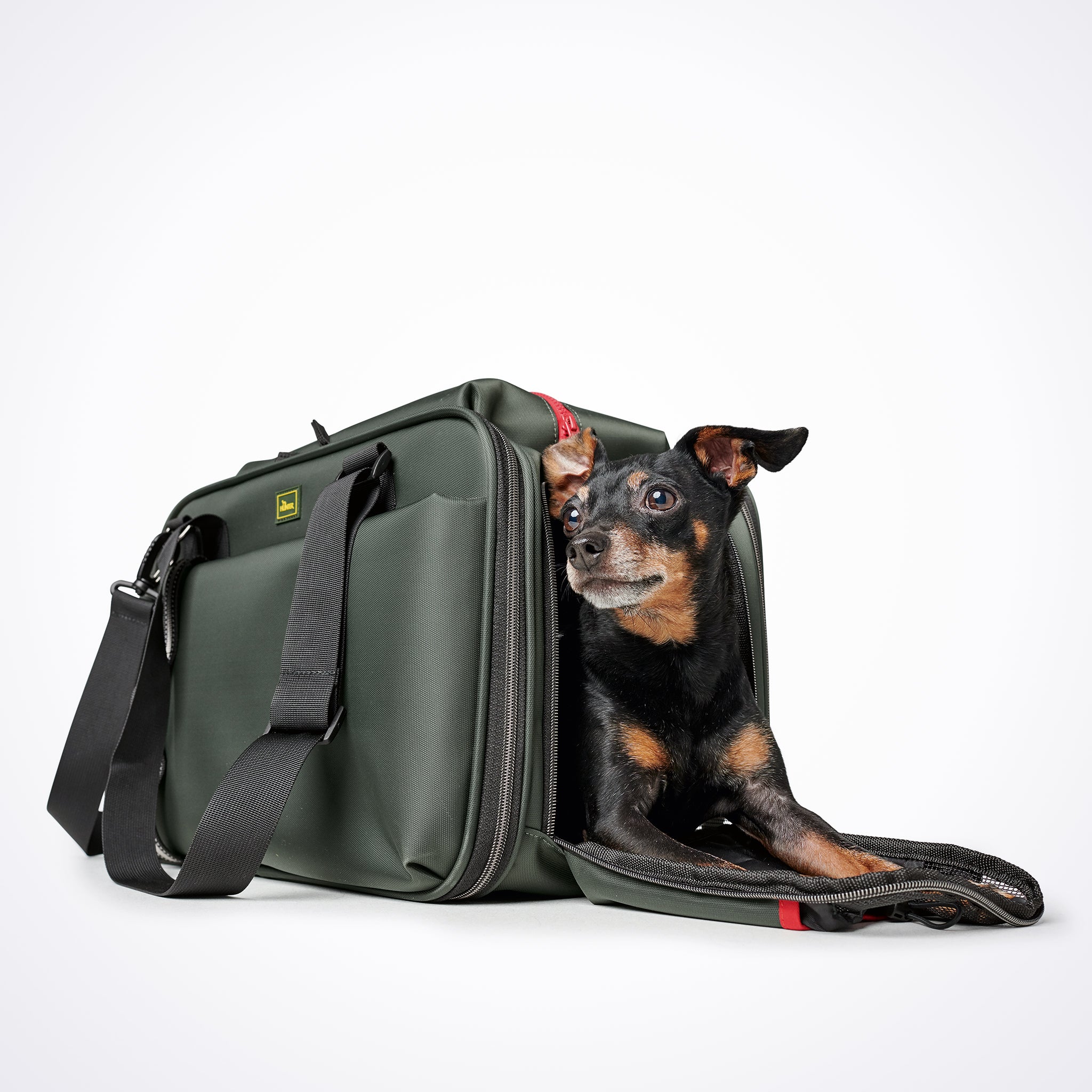 Hundetragetasche Dackel     - von Hunter kaufen bei leopolds-finest