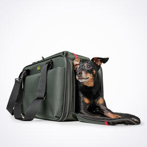 Hundetragetasche Dackel     - von Hunter kaufen bei leopolds-finest