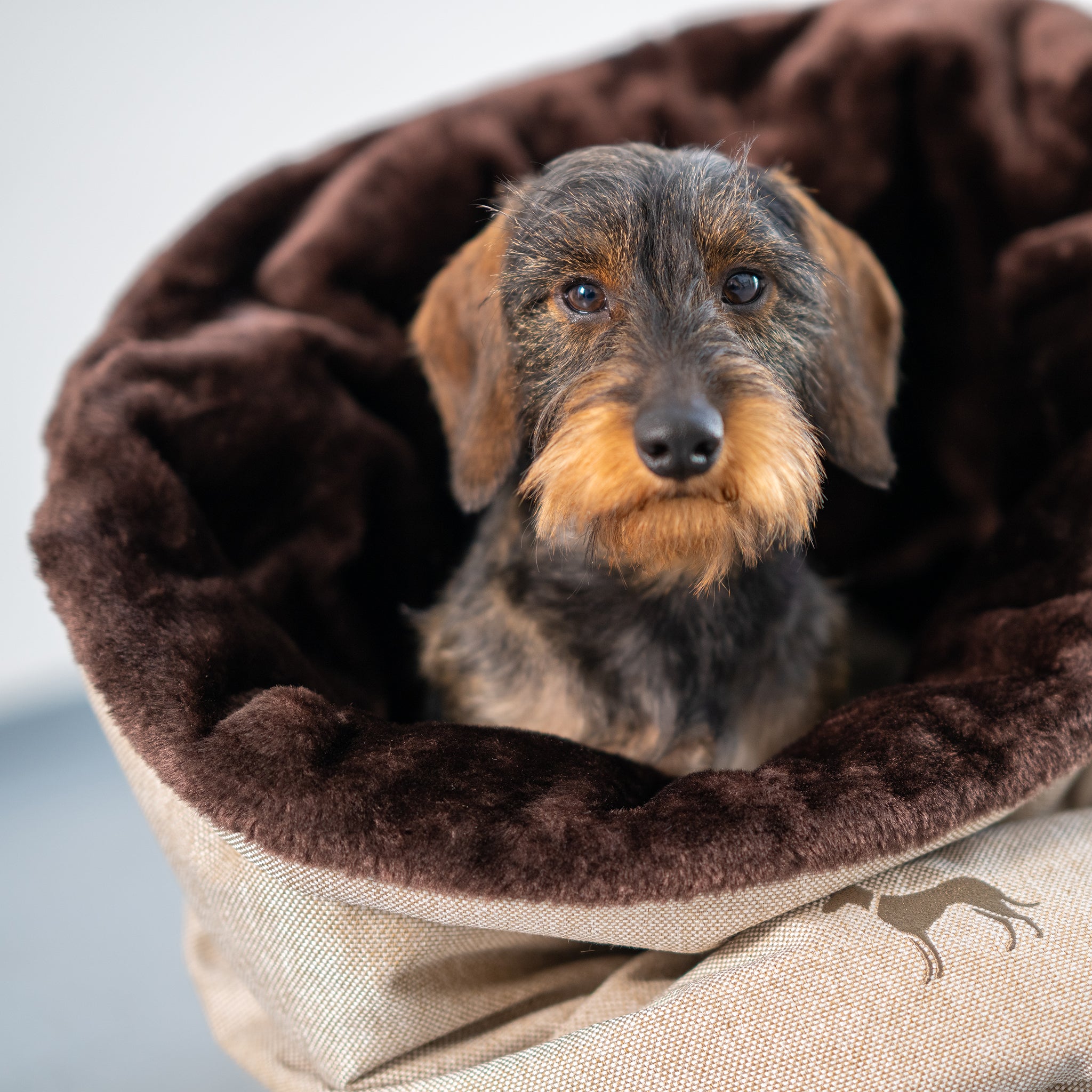 Kuschelsack kleine Hunde     - von Hunter kaufen bei leopolds-finest