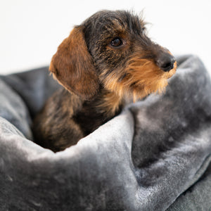 Kuschelsack kleine Hunde     - von Hunter kaufen bei leopolds-finest