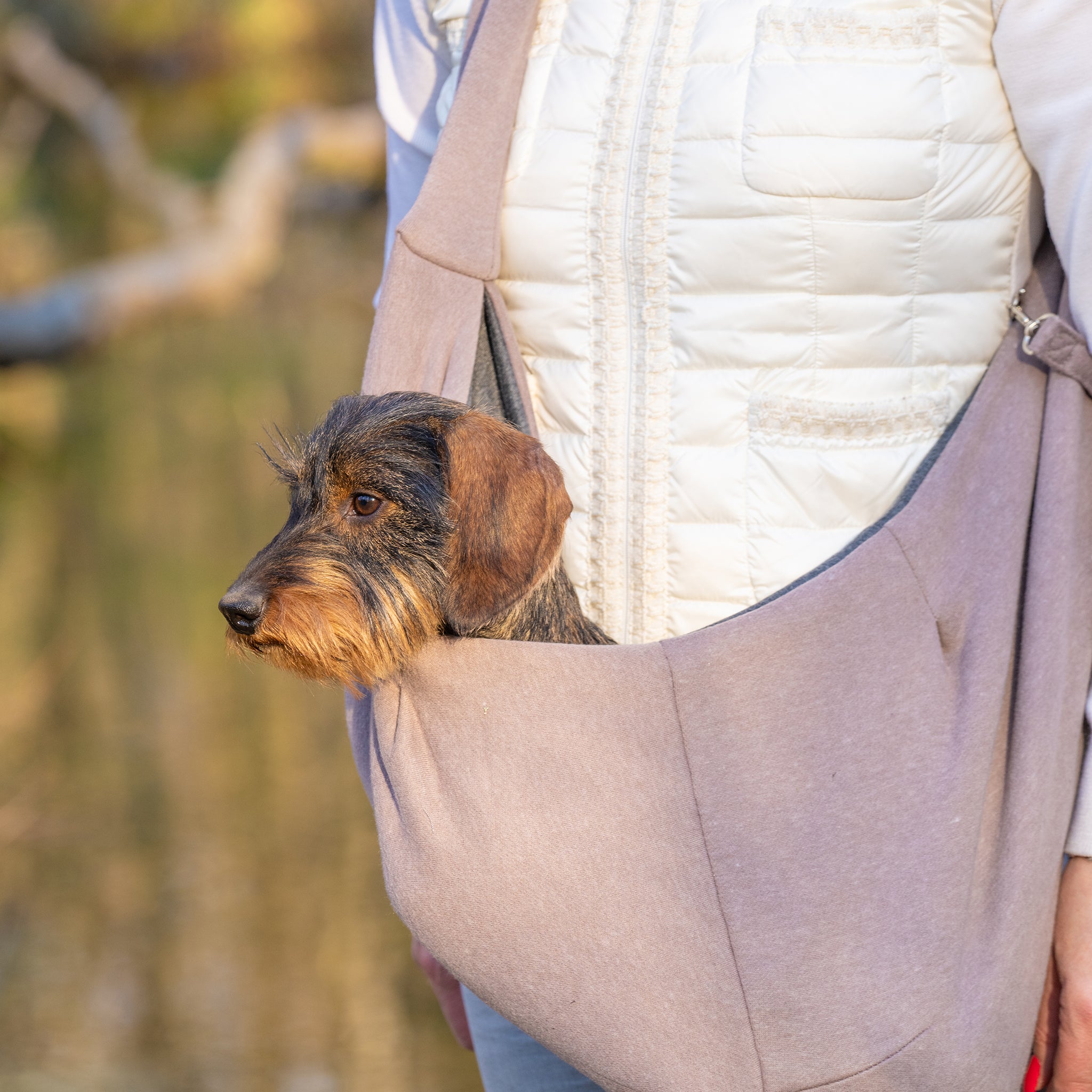 Hundetasche kleine Hunde     - von Hunter kaufen bei leopolds-finest