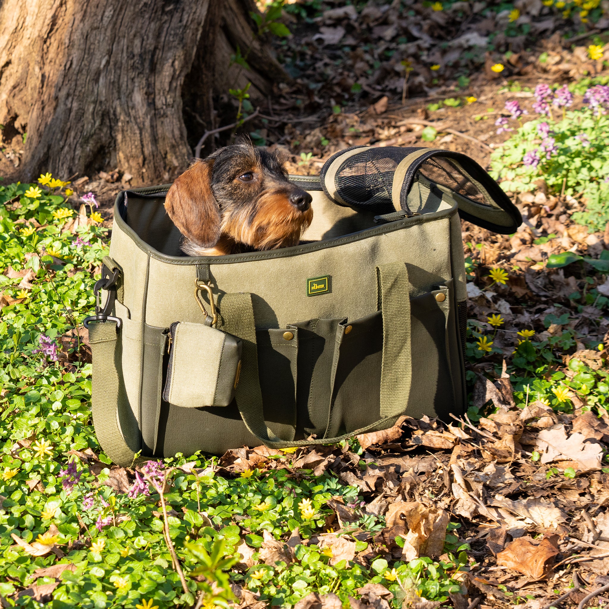 Hundetragetasche Dackel Flugzeug     - von Hunter kaufen bei leopolds-finest
