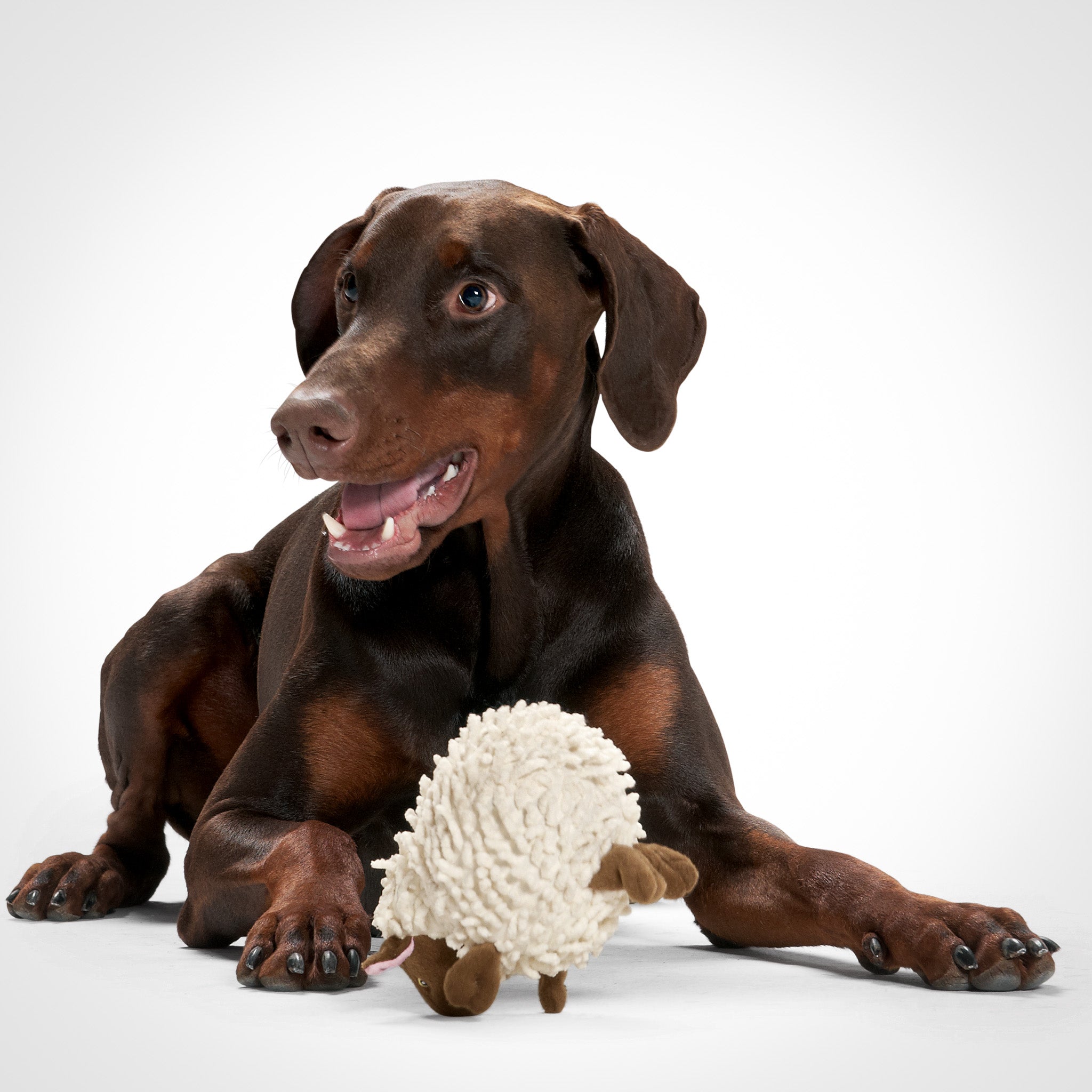 Wurfspielzeug für Hunde     - von Hunter kaufen bei leopolds-finest