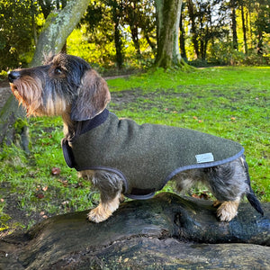 Hundemantel Dackel Loden Handarbeit     - von Leopold's kaufen bei leopolds-finest