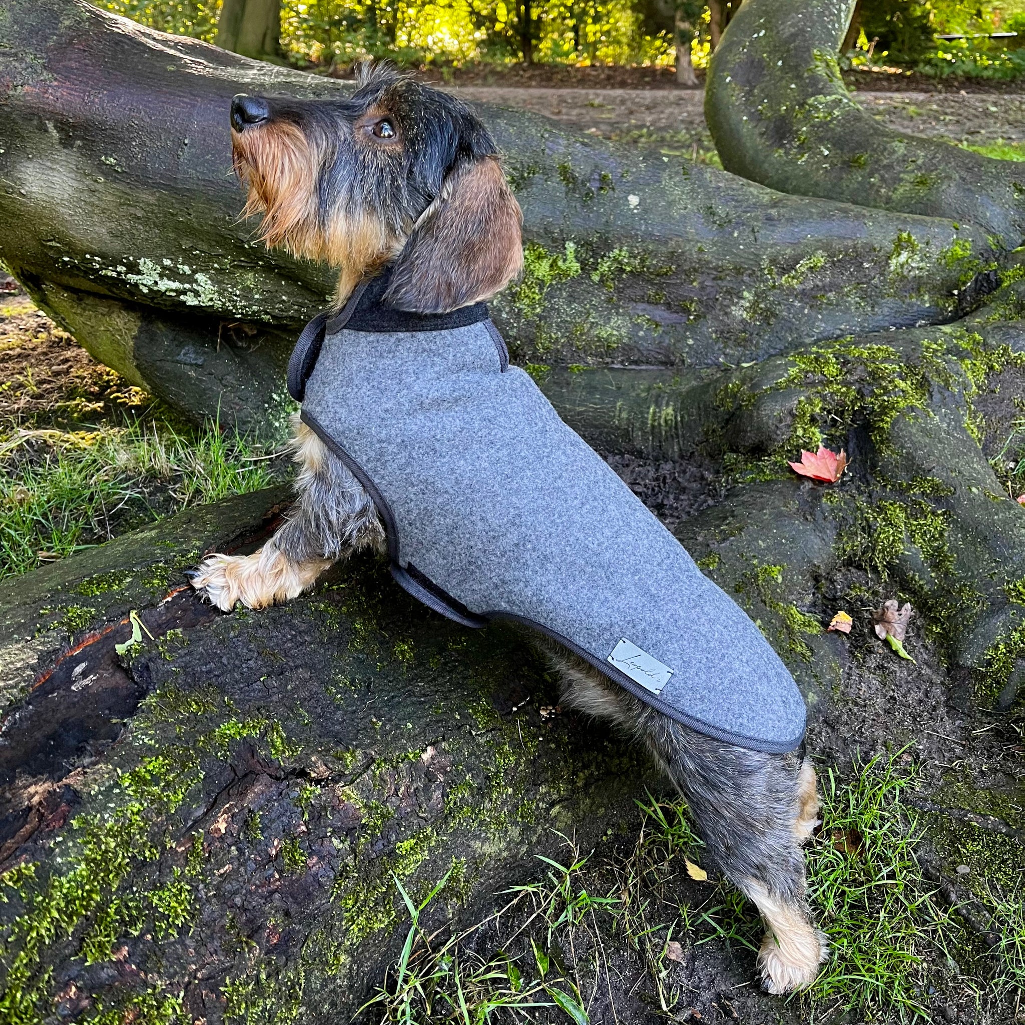 Hundemantel Dackel Loden Handarbeit     - von Leopold´s kaufen bei leopolds-finest