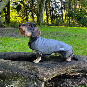 Hundemantel Dackel Loden Handarbeit     - von Leopold's kaufen bei leopolds-finest