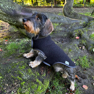 Hundemantel Dackel Loden Handarbeit     - von Leopold´s kaufen bei leopolds-finest