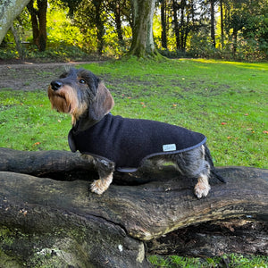 Hundemantel Dackel Loden Handarbeit     - von Leopold´s kaufen bei leopolds-finest