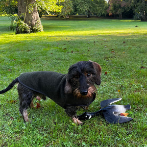 Hundemantel Dackel Loden Handarbeit     - von Leopold's kaufen bei leopolds-finest