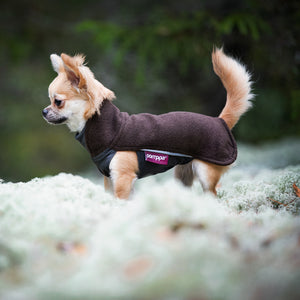 Hundepullover Dackel     - von Pomppa kaufen bei leopolds-finest