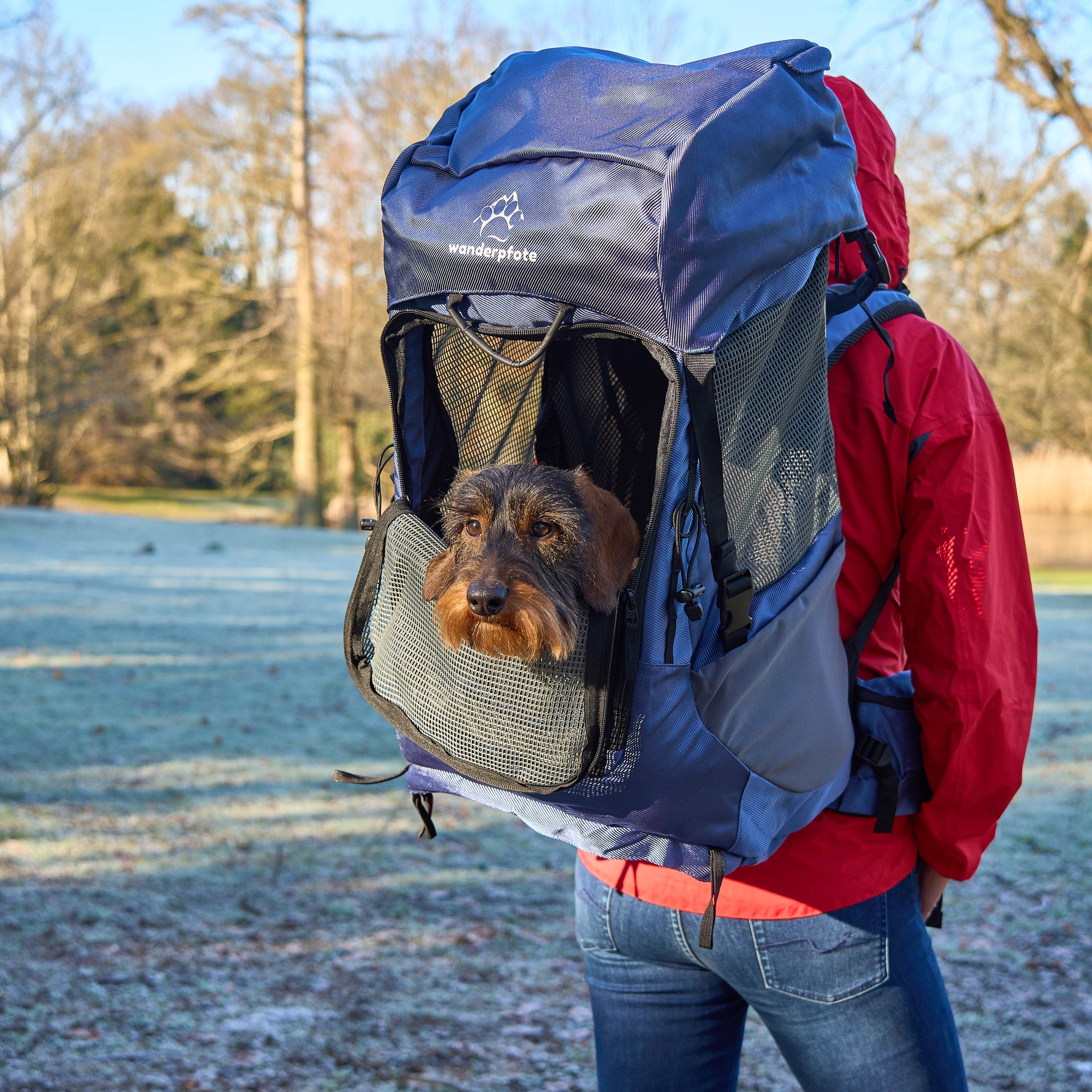 Hunderucksack kleine Hunde     - von Wanderpfote kaufen bei leopolds-finest