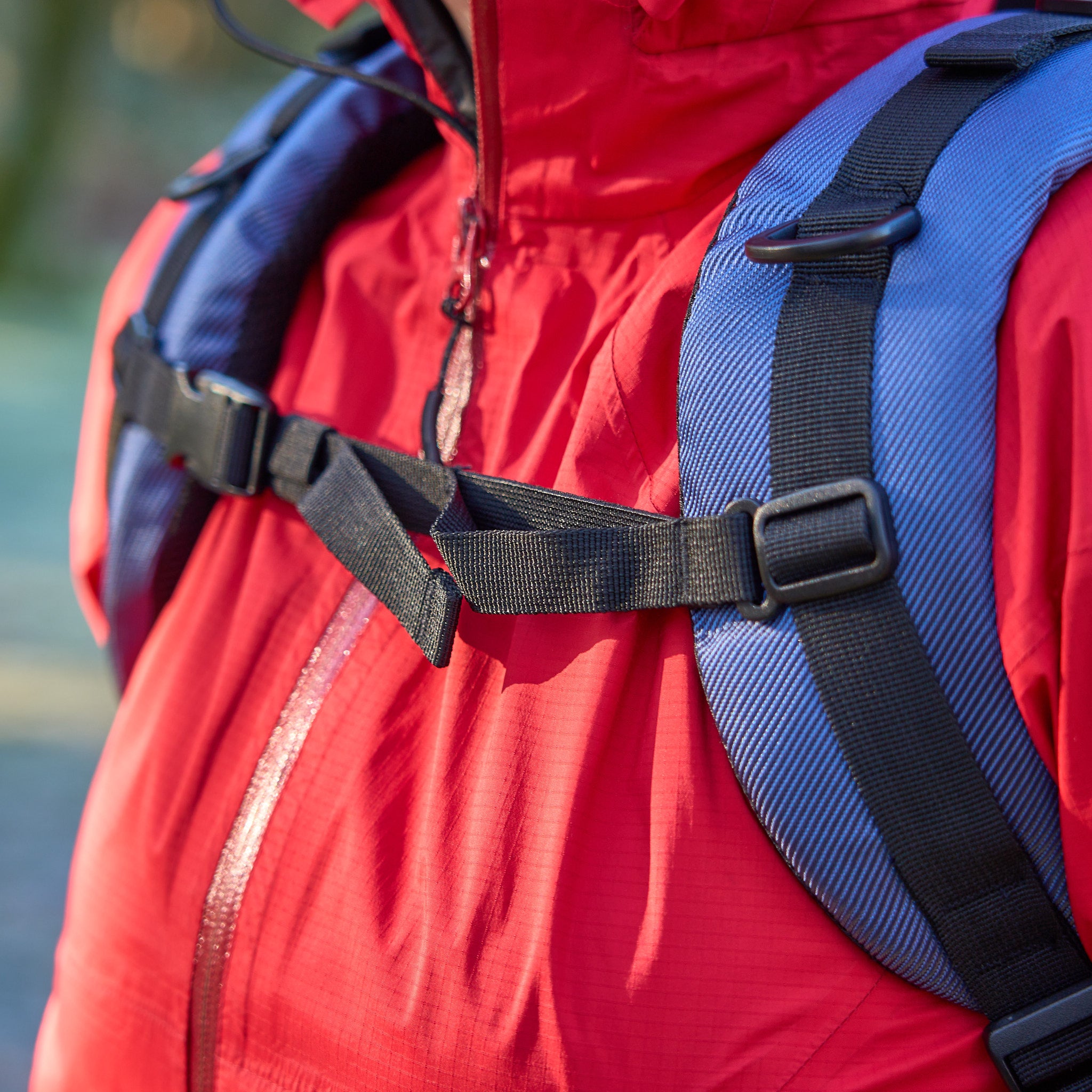 Hunderucksack kleine Hunde     - von Wanderpfote kaufen bei leopolds-finest