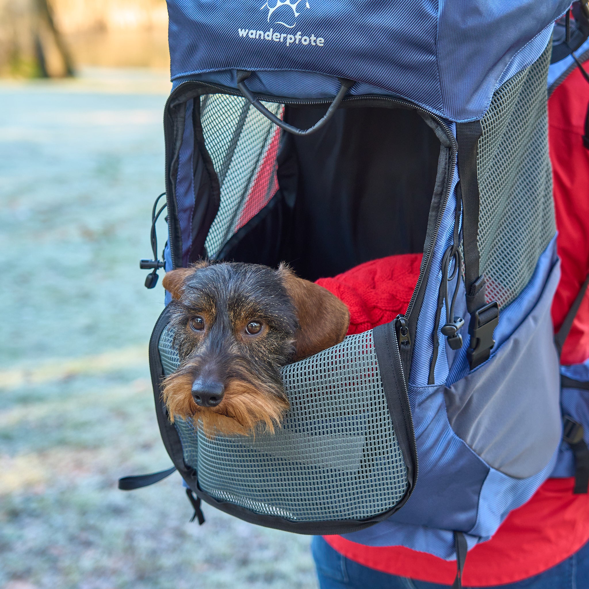 Hunderucksack kleine Hunde     - von Wanderpfote kaufen bei leopolds-finest