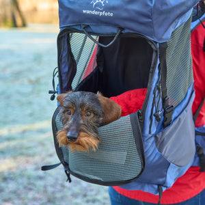 Hunderucksack kleine Hunde     - von Wanderpfote kaufen bei leopolds-finest