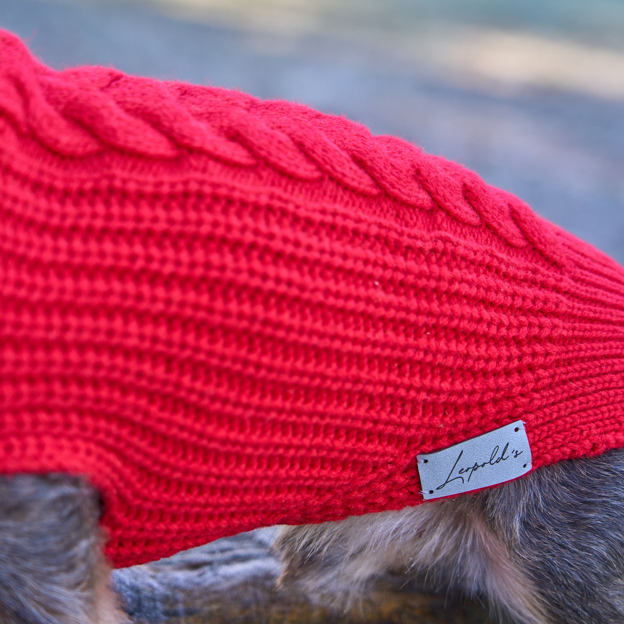 Hundepullover für Dackel     - von Leopold´s kaufen bei leopolds-finest
