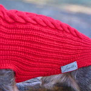 Hundepullover für Dackel     - von Leopold´s kaufen bei leopolds-finest