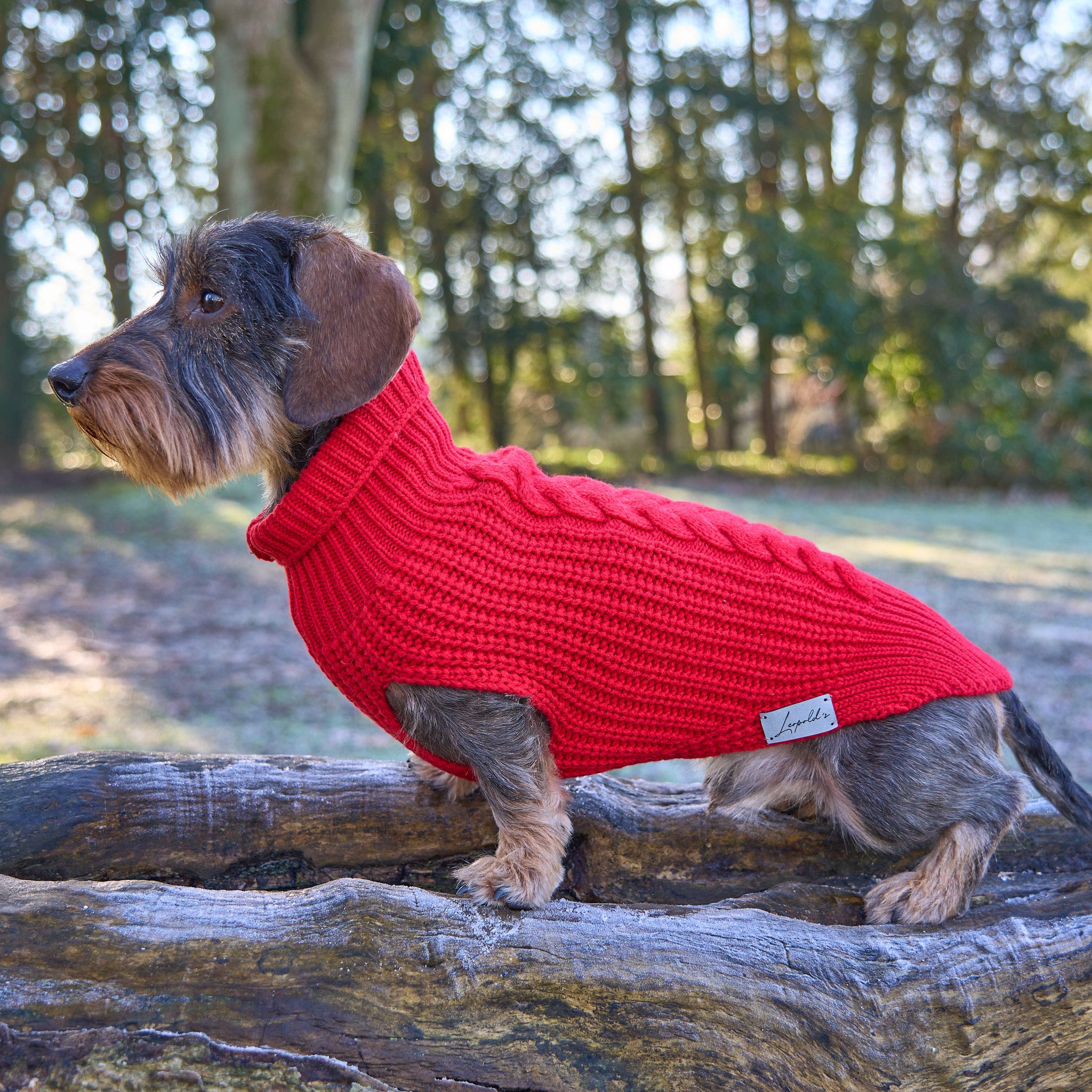 Hundepullover für Dackel     - von Leopold´s kaufen bei leopolds-finest