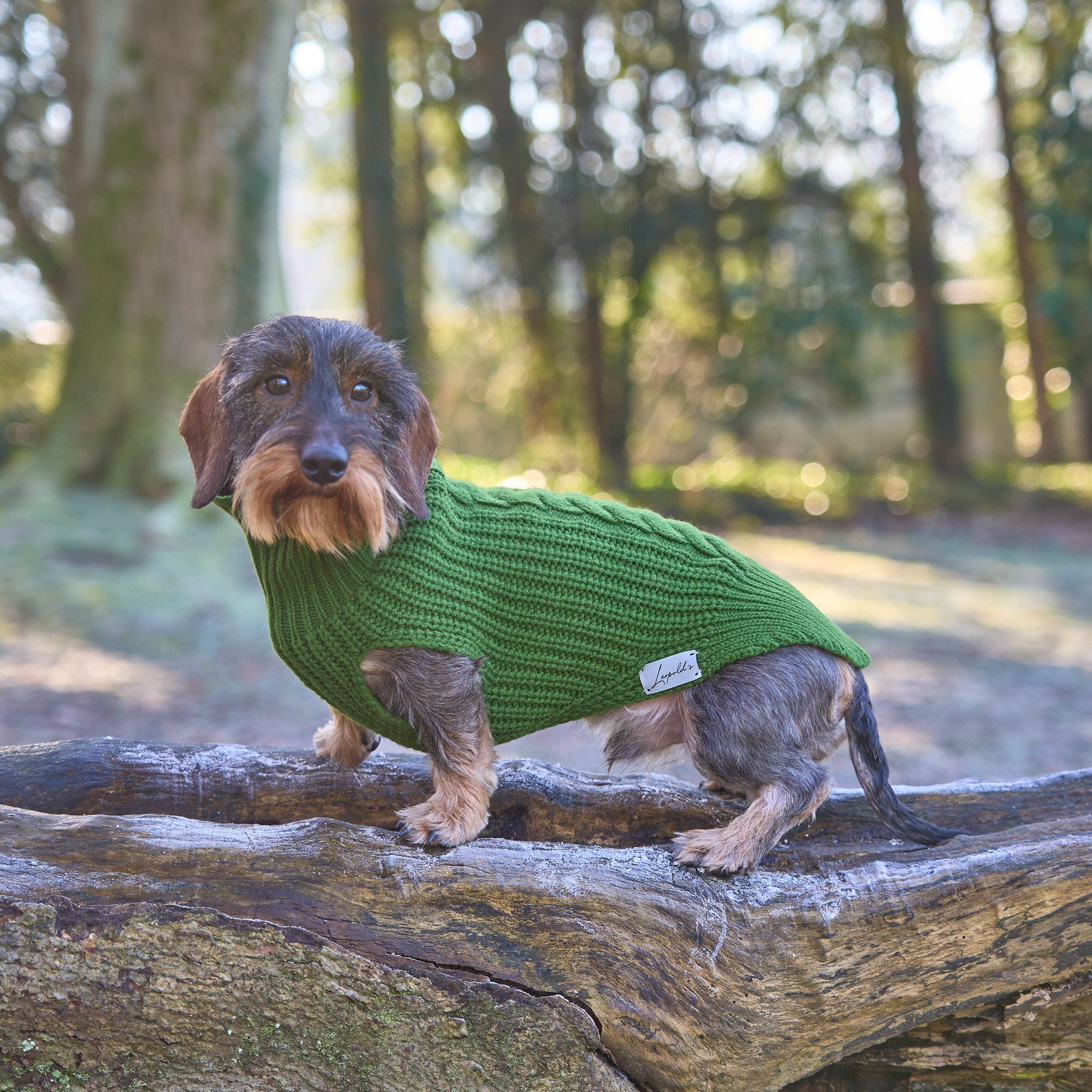 Hundepullover für Dackel     - von Leopold´s kaufen bei leopolds-finest