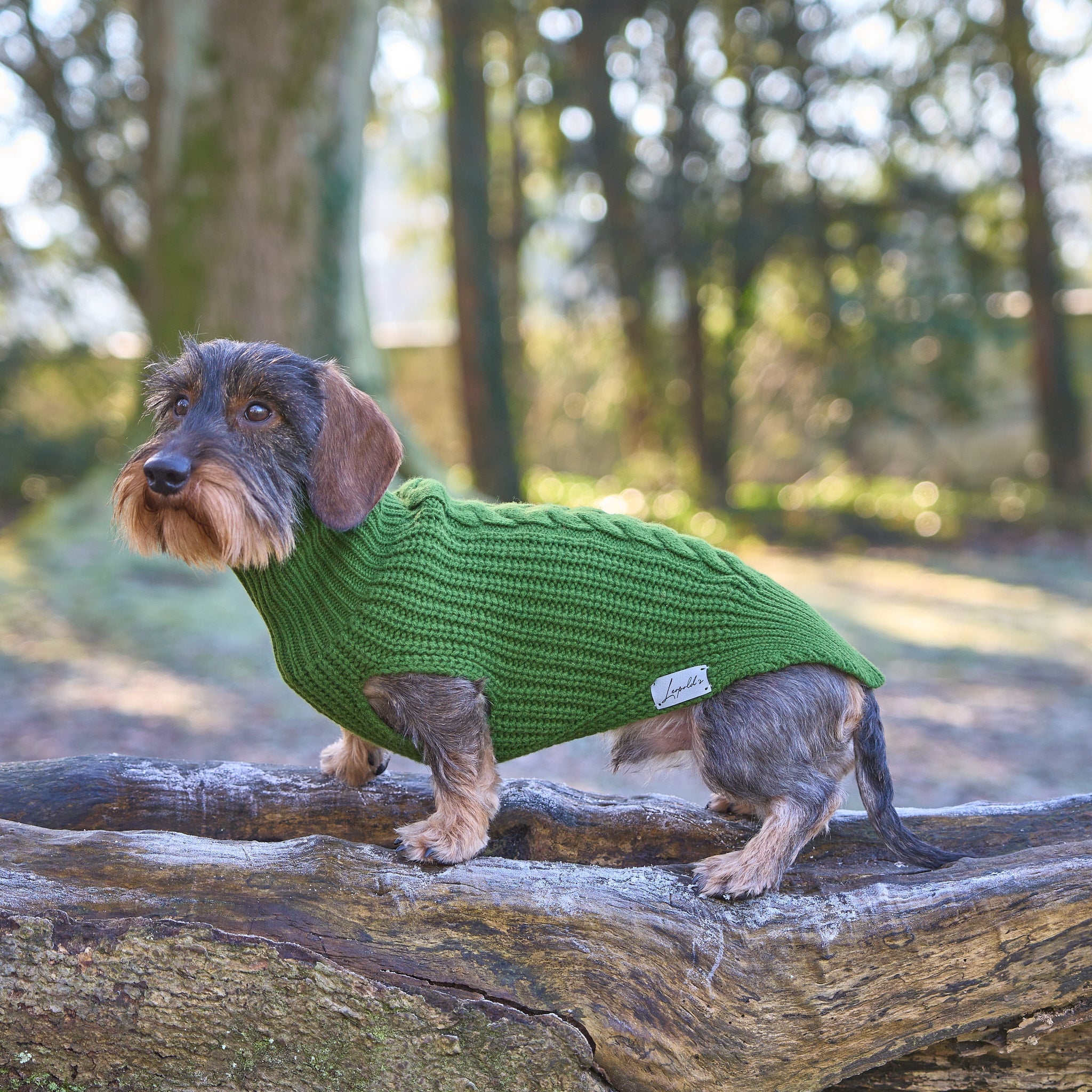 Hundepullover für Dackel     - von Leopold´s kaufen bei leopolds-finest