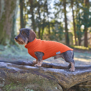Hundepullover für Dackel     - von Leopold´s kaufen bei leopolds-finest