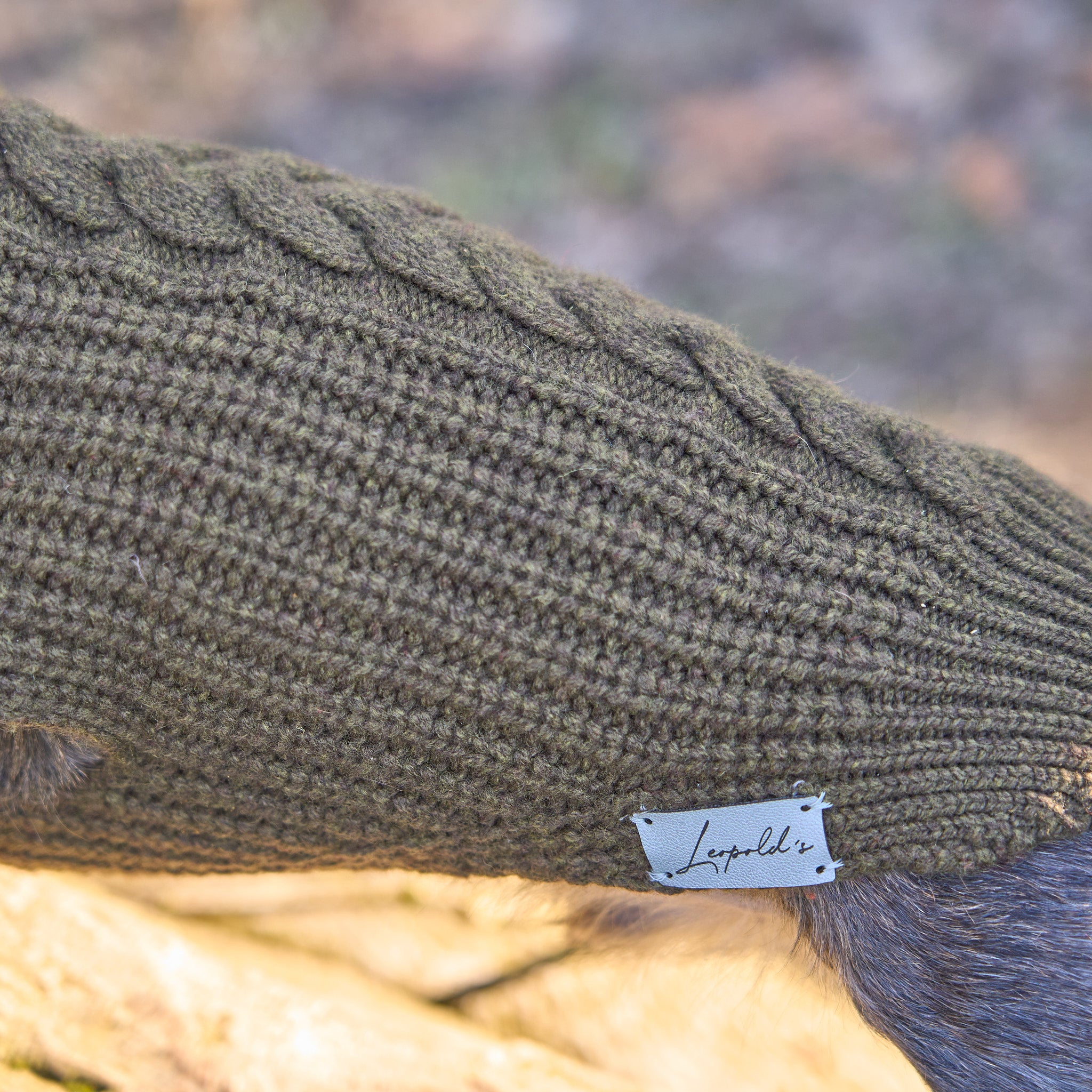 Hundepullover für Dackel     - von Leopold´s kaufen bei leopolds-finest