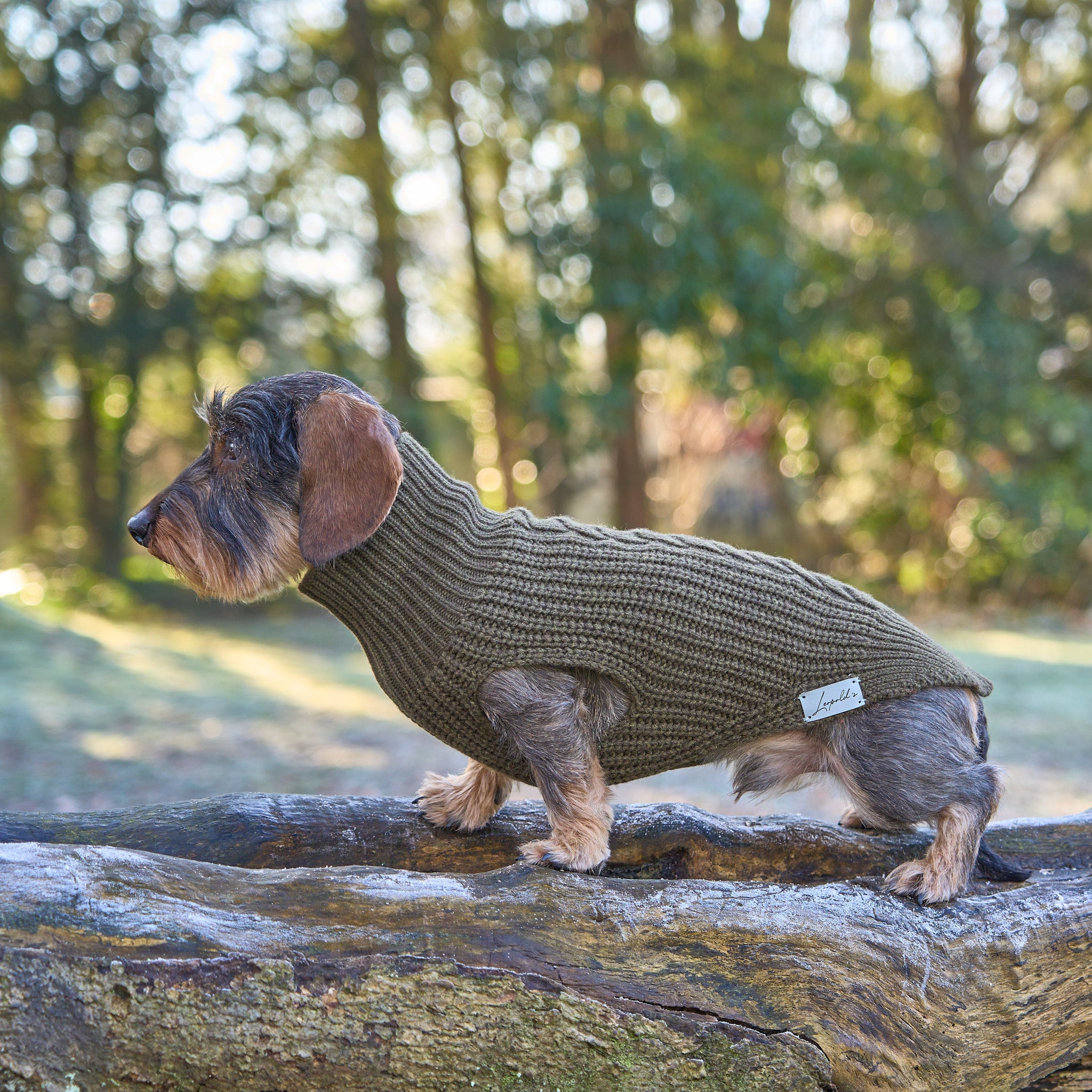Hundepullover für Dackel     - von Leopold´s kaufen bei leopolds-finest