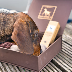 Hunde-Geschenkbox »DAILY DELIGHTS«     - von LILA LOVES IT kaufen bei leopolds-finest