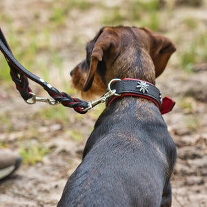 Hunde Halsband »Edelweiß«     - von Maul Ledermanufaktur kaufen bei leopolds-finest