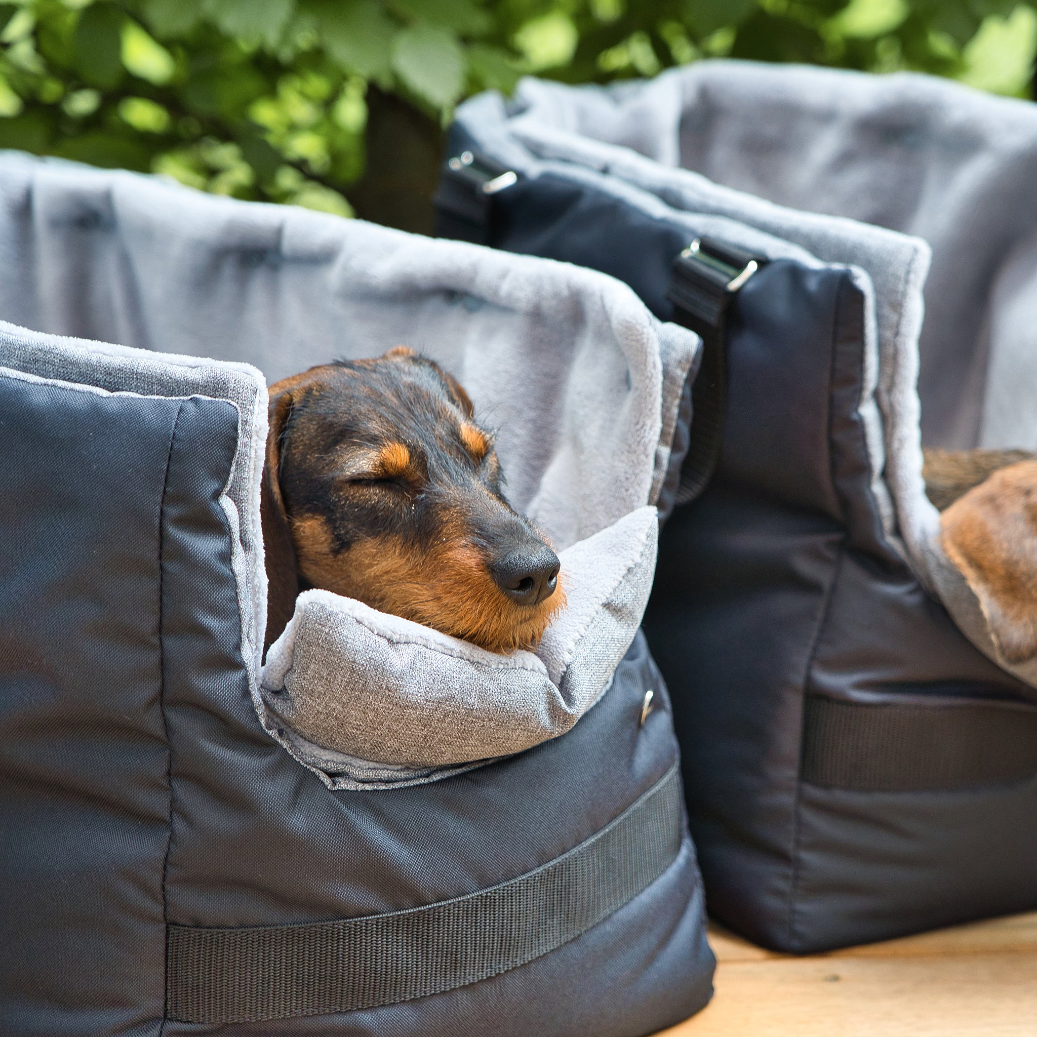 Hundetasche Dackel Leopold’s     - von Leopold's by Gabelwerk kaufen bei leopolds-finest