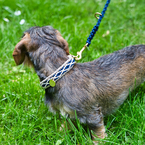 Hundehalsband Dackel handgeknüpft     - von Stilhütte kaufen bei leopolds-finest
