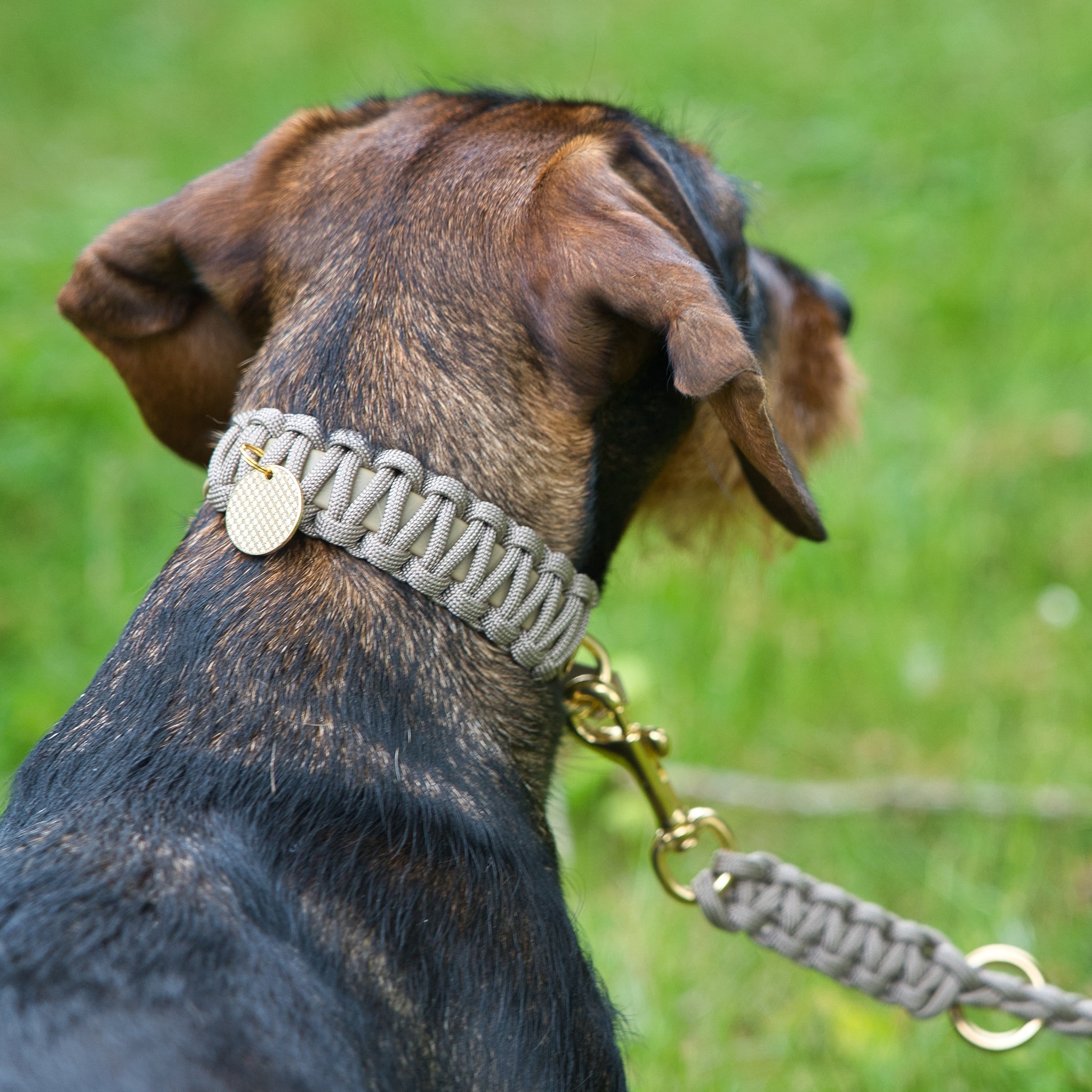 Hundehalsband Dackel     - von Stilhütte kaufen bei leopolds-finest