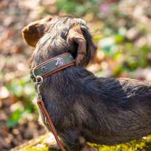 Hundehalsband Dackel Waldsheriff     - von Maul Ledermanufaktur kaufen bei leopolds-finest