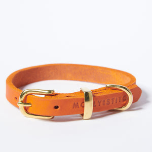 Hundehalsband Butter     - von Molly & Stitch kaufen bei leopolds-finest